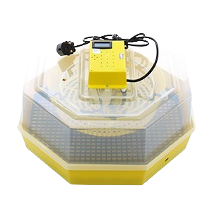 Incubatoare oua