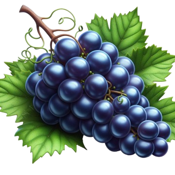 Produse vinificatie