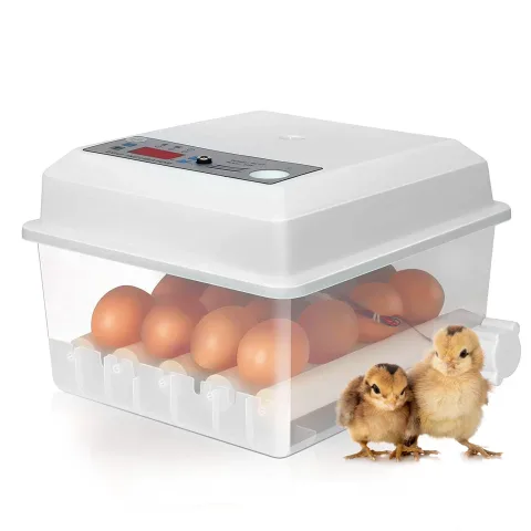 Incubator automat MS-16 (12V/ 220V)