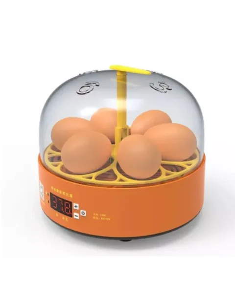 Incubator automat MS-6 (12V/220V)